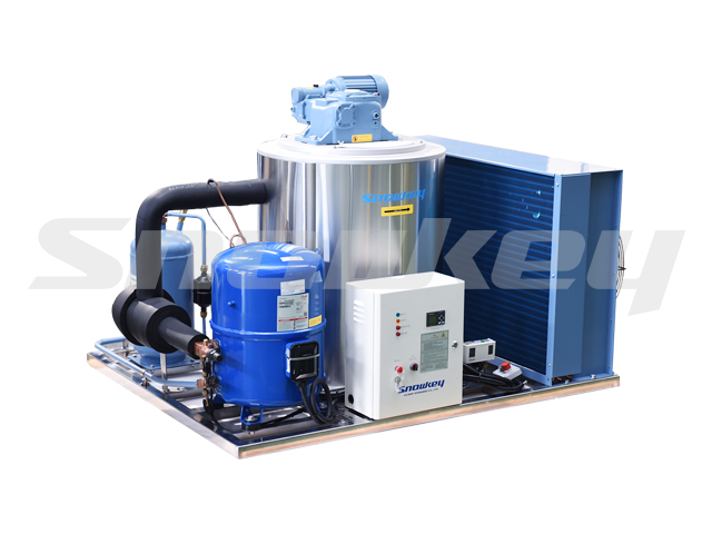 片冰機(jī)(2.5噸/天)